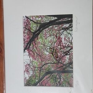 Backdrop by Hazel Berger 2011